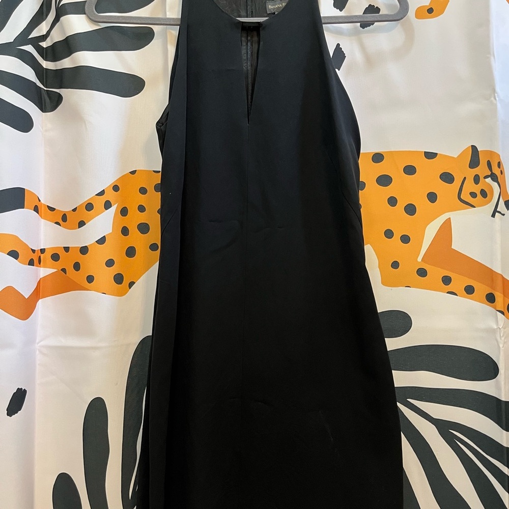 Elegant Black Sleeveless Dress